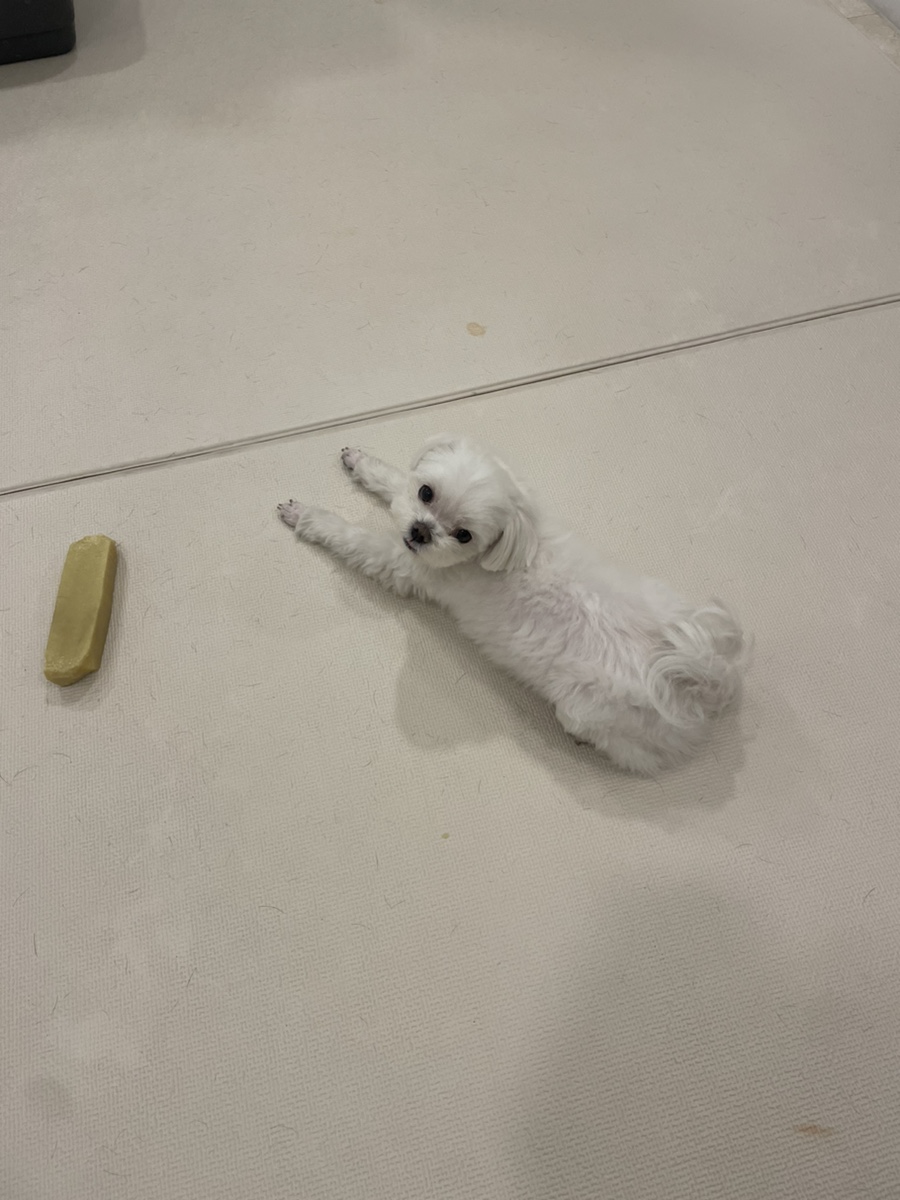 온하루 이미지