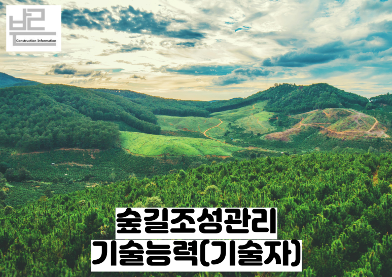 숲길법인 이미지