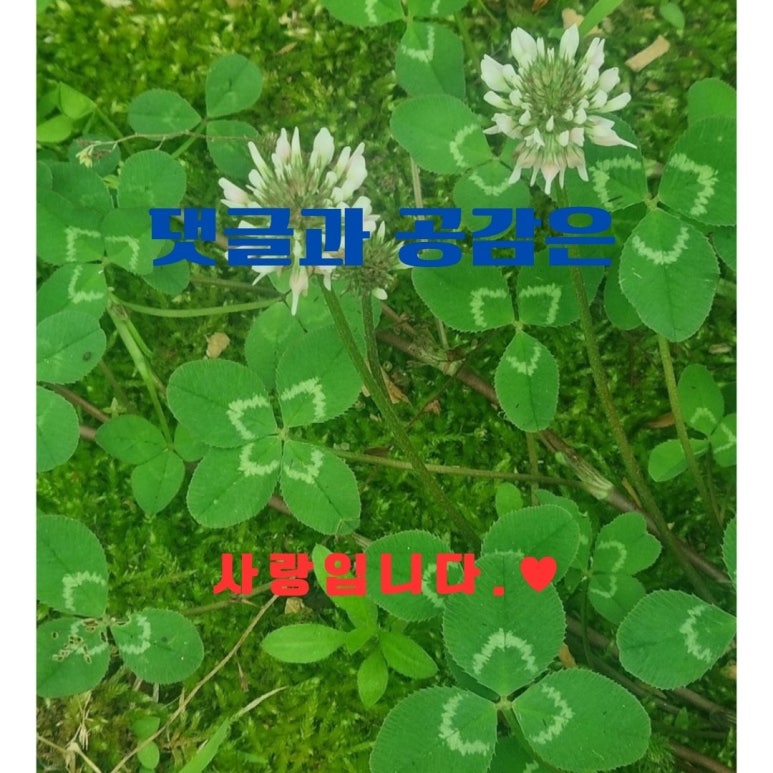 플레이그라운드문구팬시 이미지