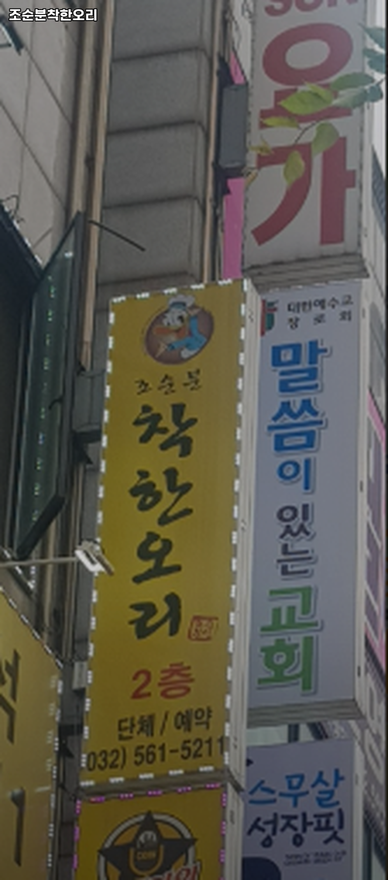 조순분착한오리 이미지