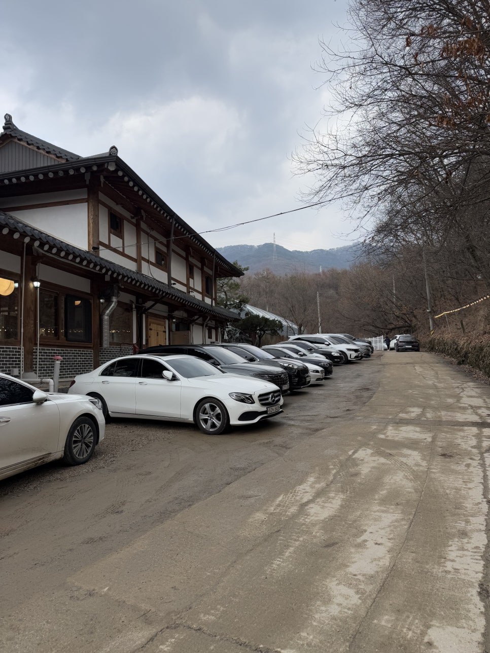 그리네 사바나 이미지
