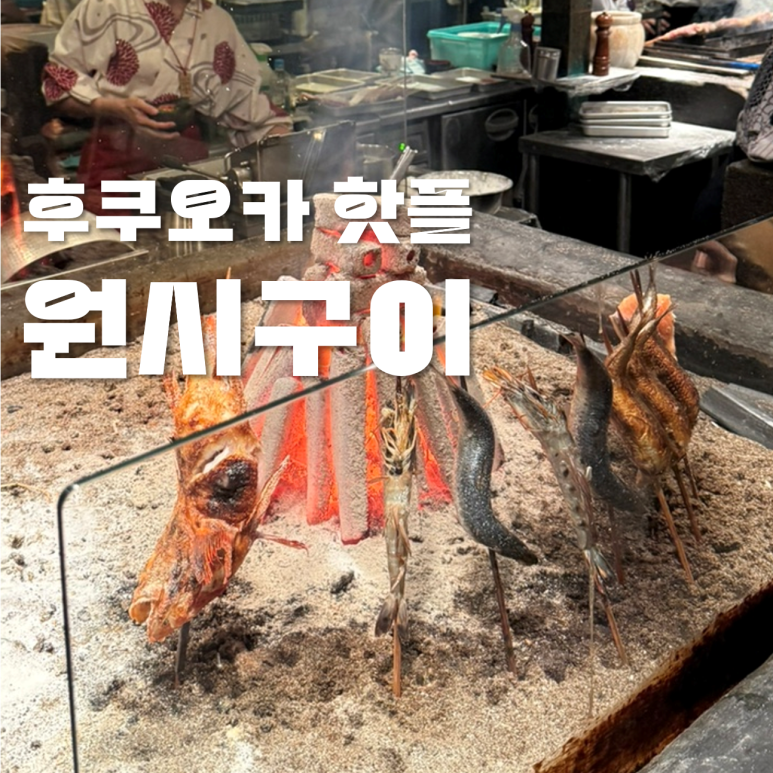 큐재팬 이미지