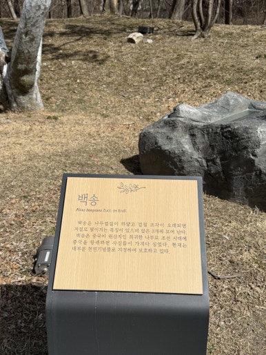 백송세탁 이미지