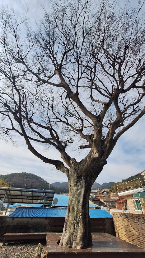 남파랑길 18코스 이미지