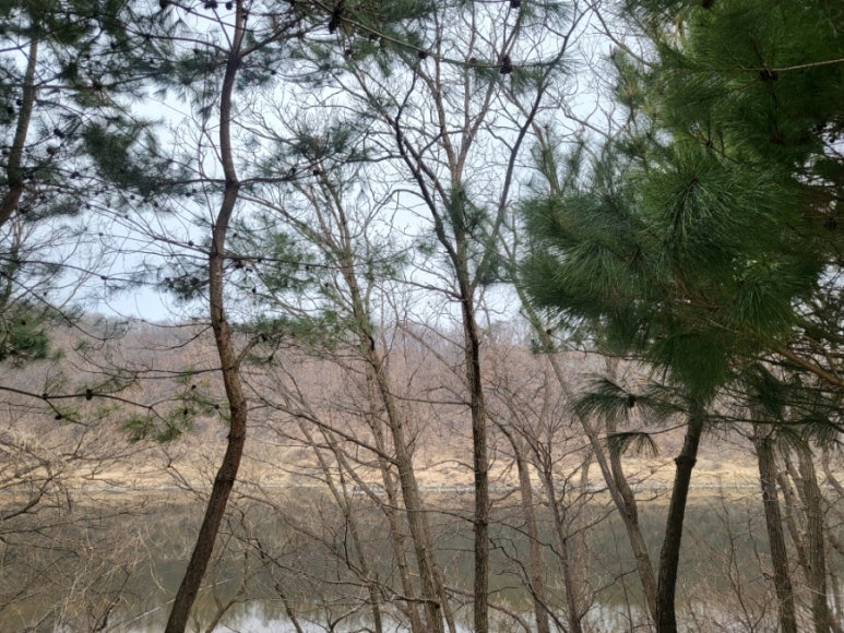 나린매점 이미지