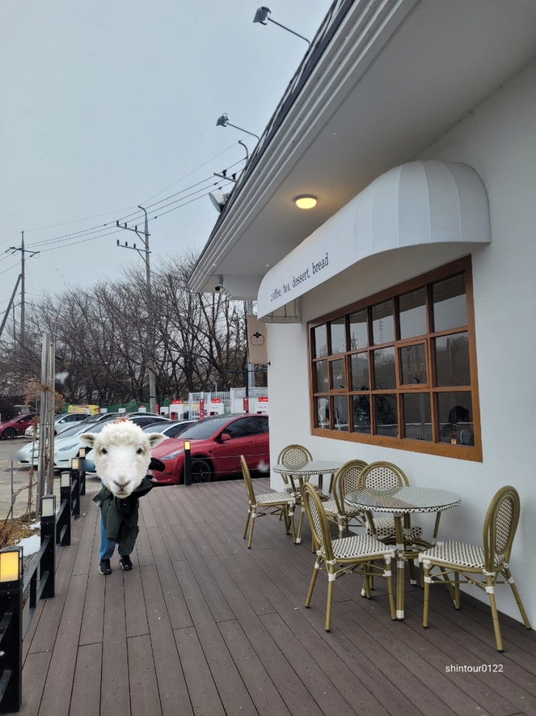 카페곧;감 이미지