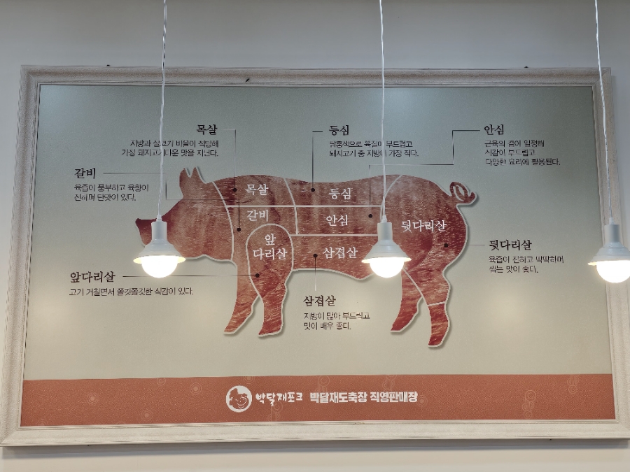 박달재유통 이미지