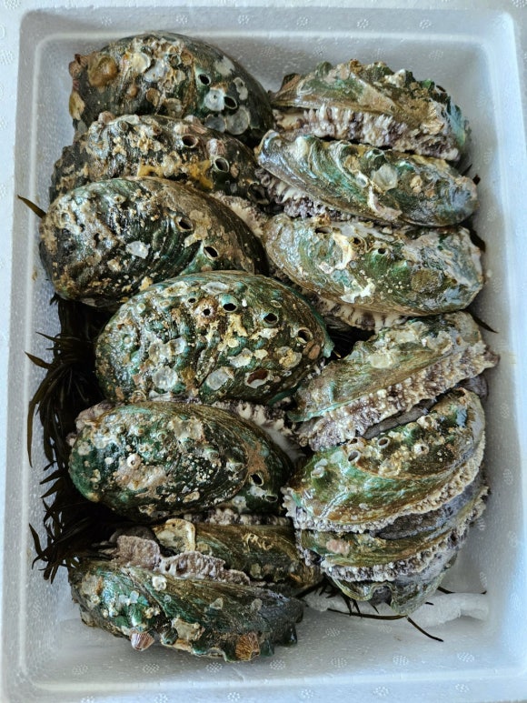 세일반찬 이미지