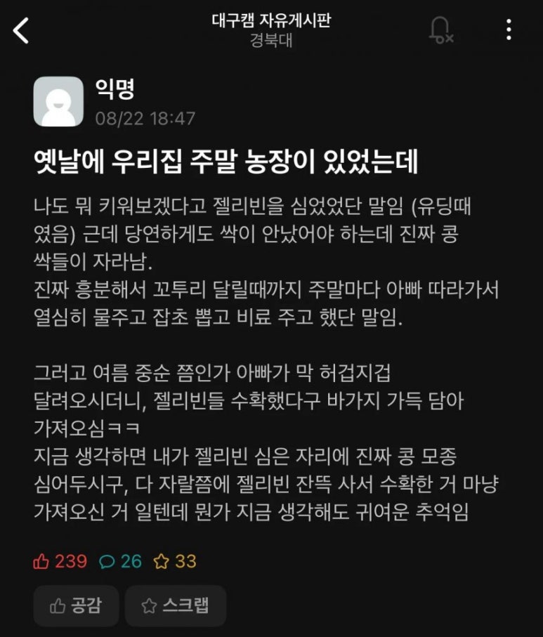 젤리빈 이미지
