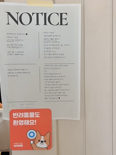 나이트카페 이미지