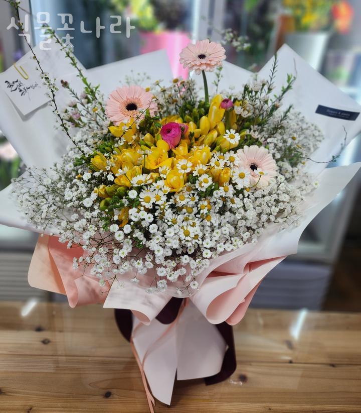 식물꽃나라 이미지