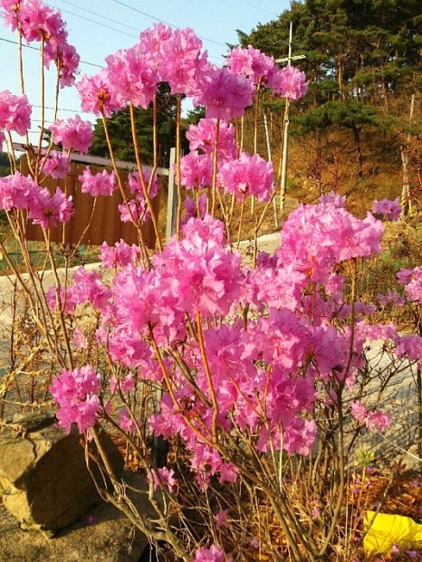 폭포수펜션 이미지