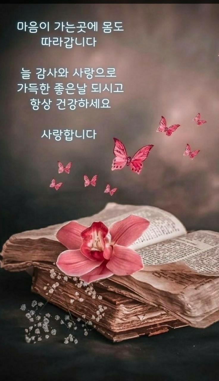 (주)다감 이미지