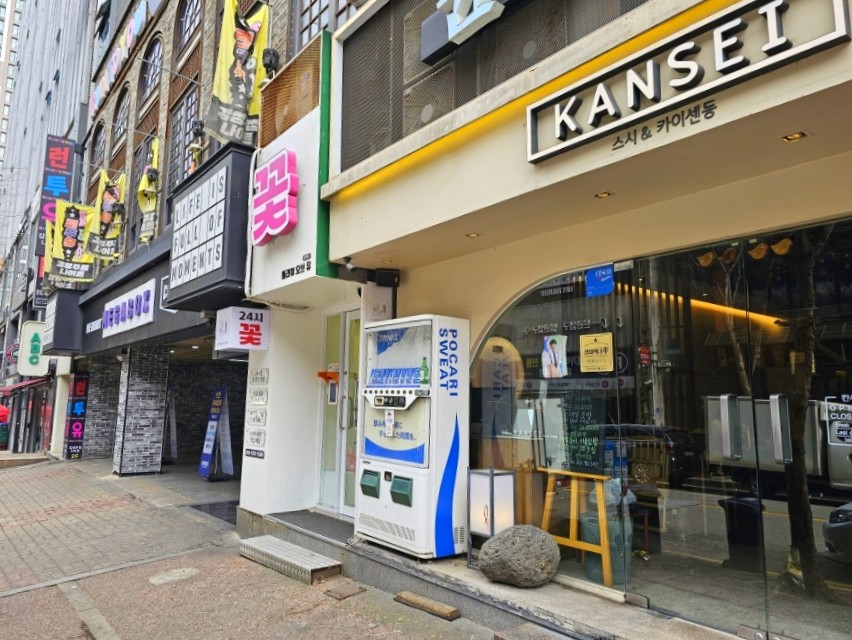 24시꽃 이미지