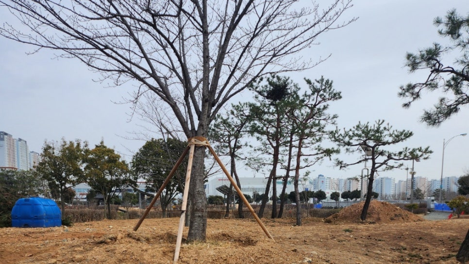 지오조경 이미지