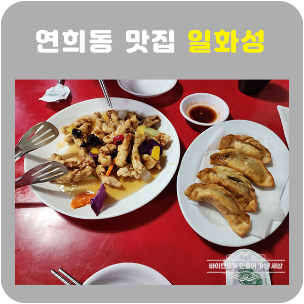 일화성 이미지