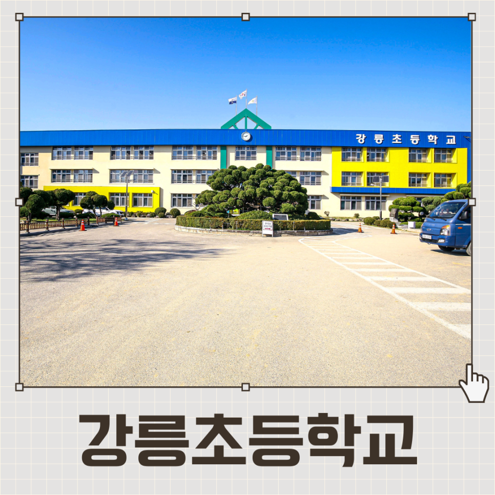 강릉초등학교 이미지