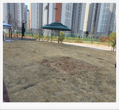 광주체육사 이미지