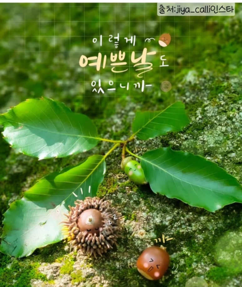 예쁜날 이미지