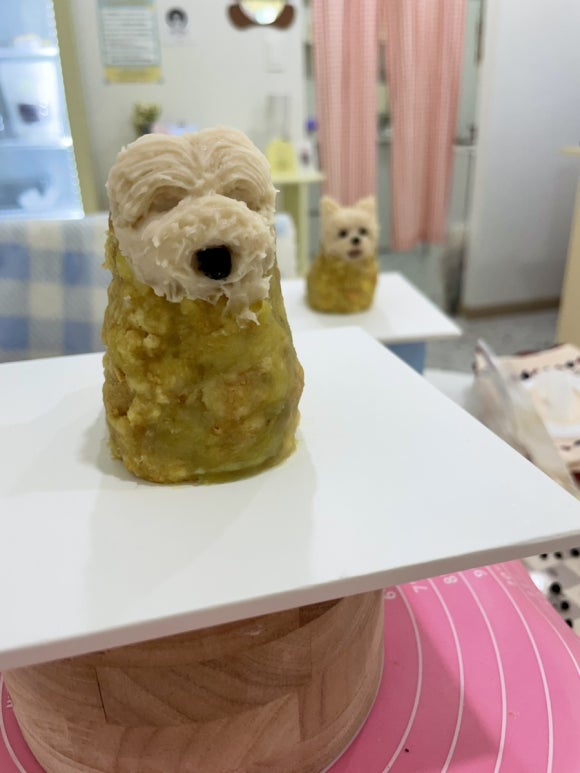 둥글원 이미지