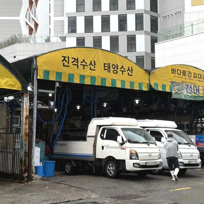 수산물도소매쎈터 이미지