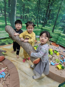 나무야놀자 이미지