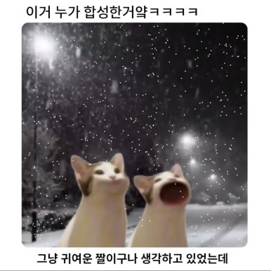 더모먼트 이미지