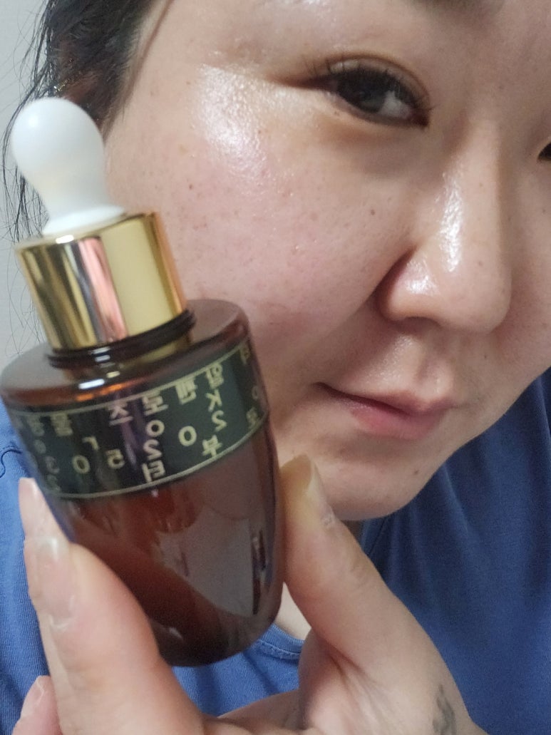 도노포레스타 이미지