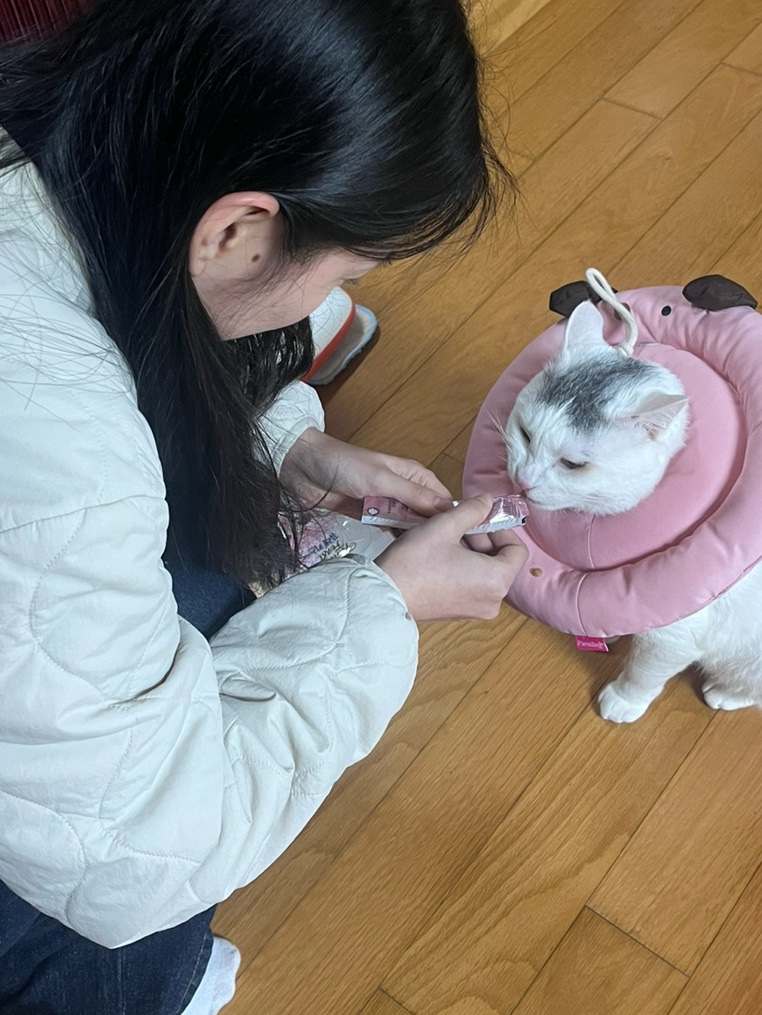 오는정손만두 이미지