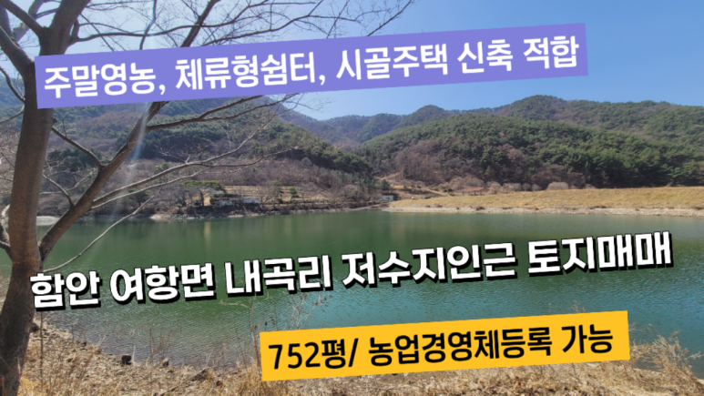 내곡 저수지 이미지