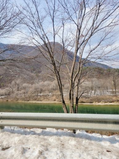 강원참숯영농조합법인 이미지