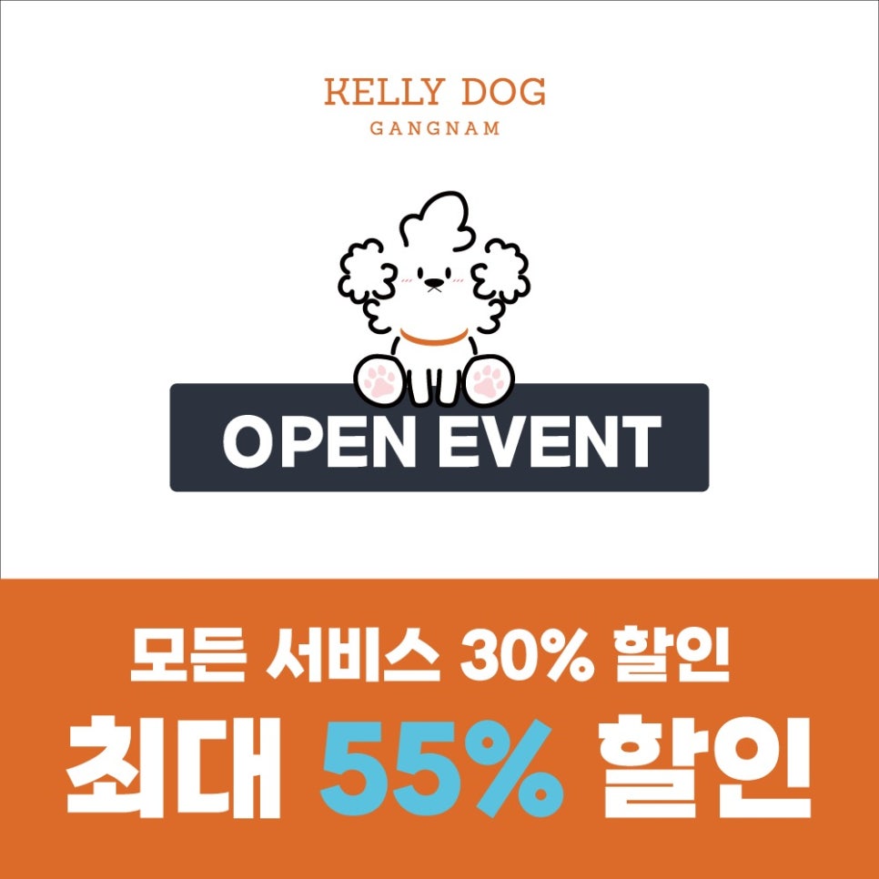 사진 2