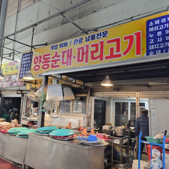 양동머리고기 이미지