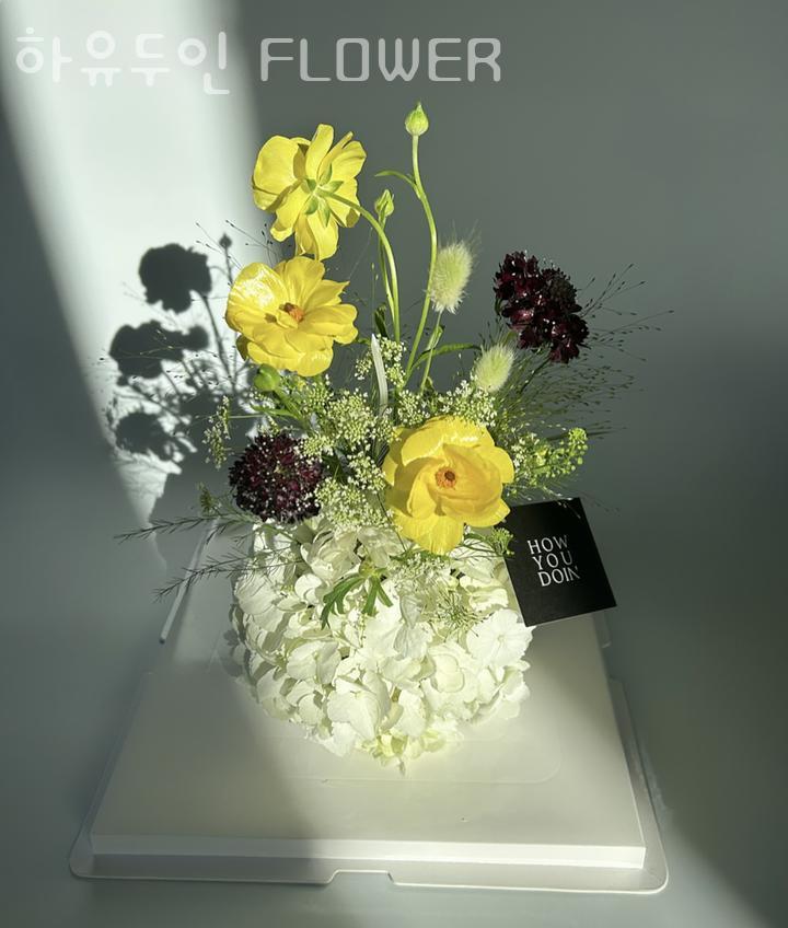 하유두인FLOWER 이미지