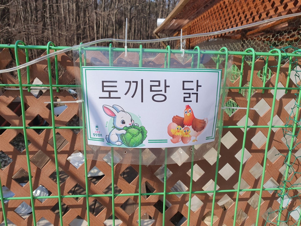 고려산 힐링캠프 이미지