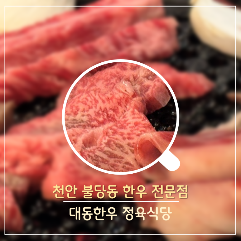 대동식당정육 이미지