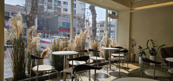 참새당 이미지