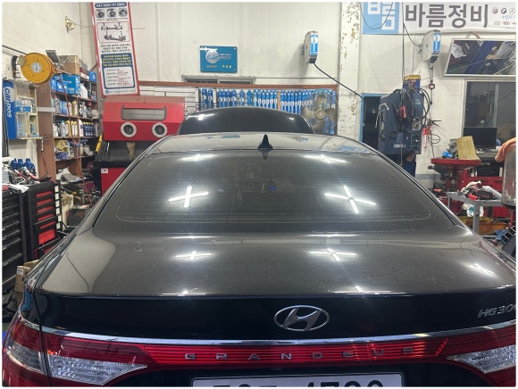 포니카센타 이미지