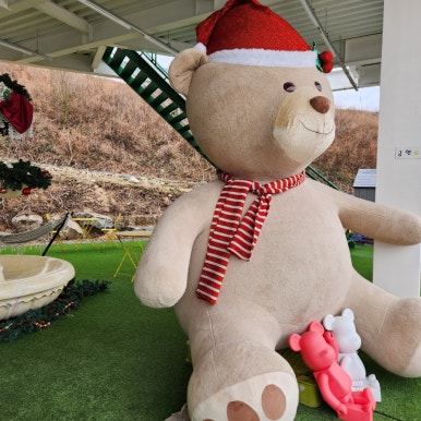 옐로우레빗츠 이미지