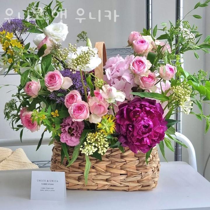 우니코앤우니카 이미지