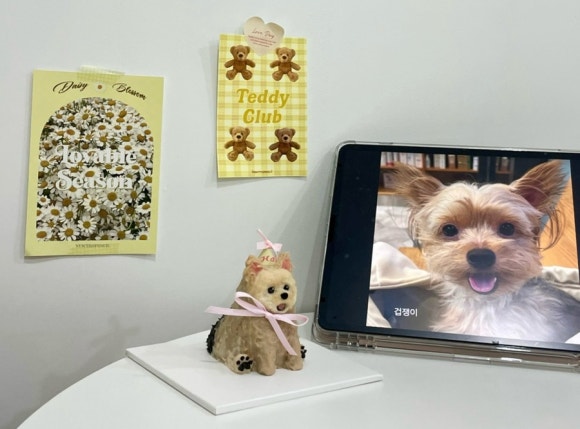 둥글원 이미지