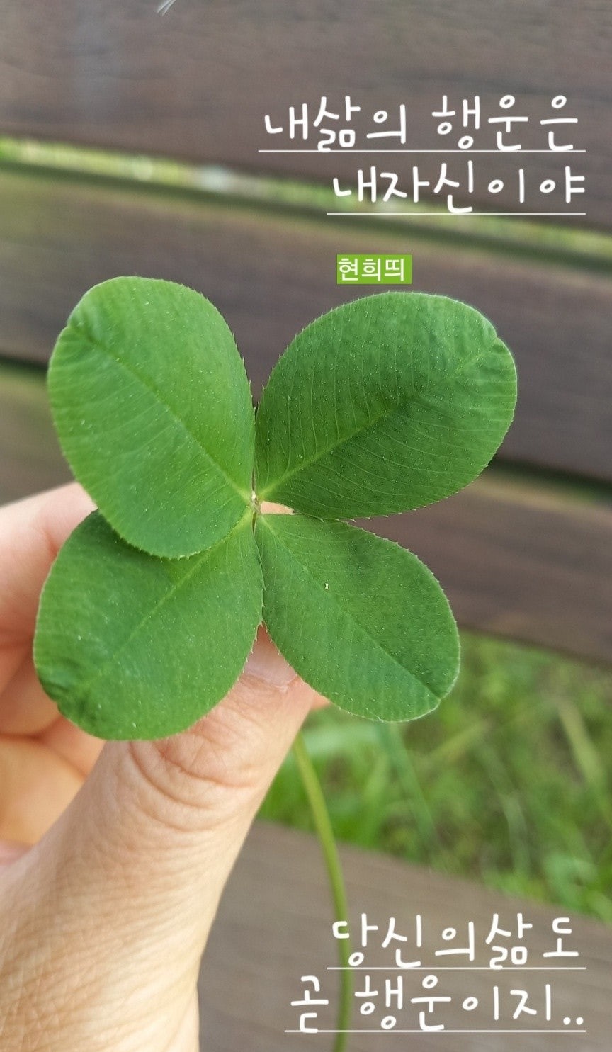 고래한방병원 이미지