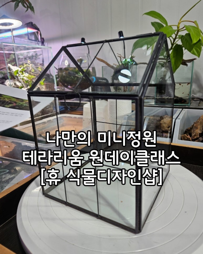휴식물디자인샵 이미지