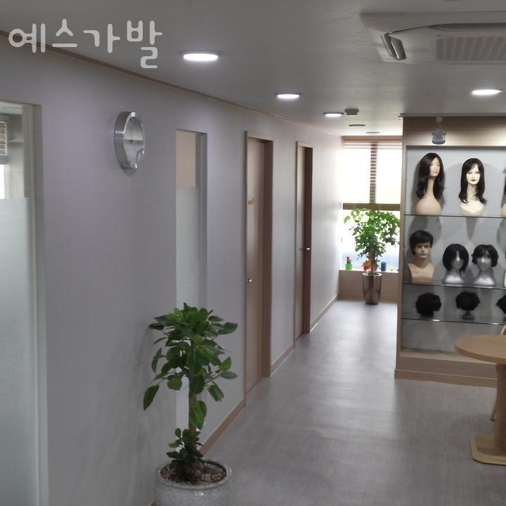 예스가발 이미지