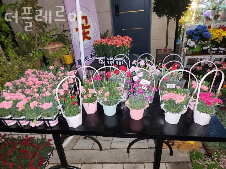 더플레르미 이미지
