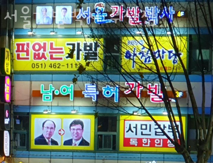 서울가발박사 이미지