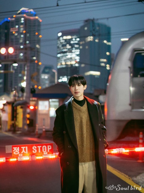 소울버드스냅 이미지