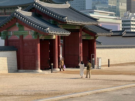 마이초이스 이미지