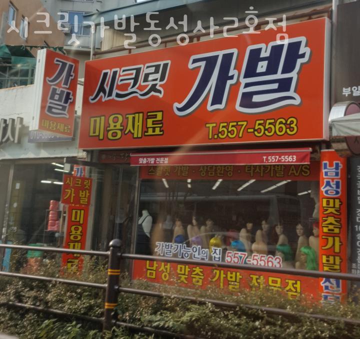 동성사 이미지