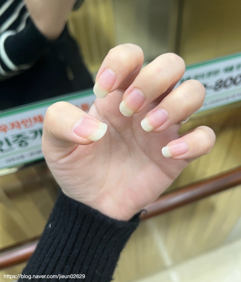 단델리온네일 이미지